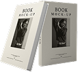 stylized book illustration for publishing website hero section